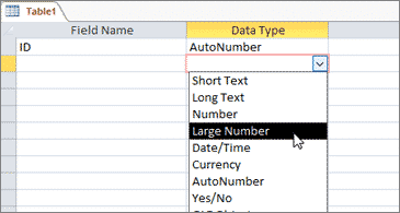 Data type list with Large Number highlighted