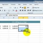 How to do percentages in Excel (1)